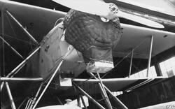 Short flottør til  M.F.11 på Marinens Flyvebåtfabrikks verks