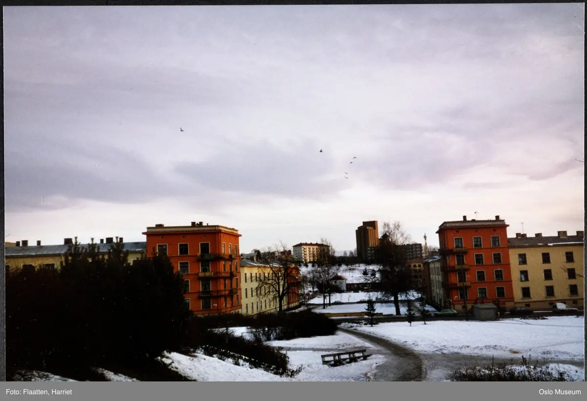 utsikt, park, bygårder, Sinsen silo, snø