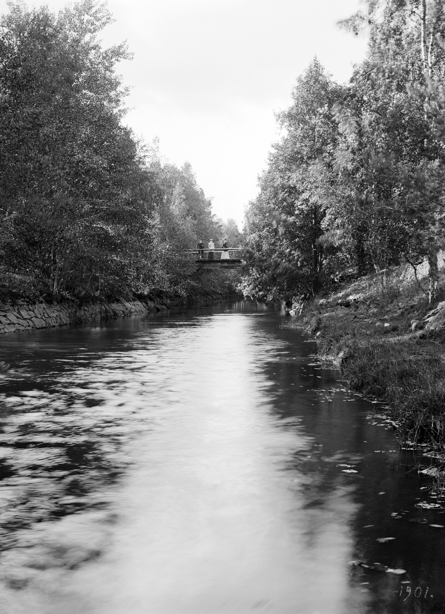 Motiv ur Linköpingsfotografen Didrik von Essens samling som genom äldre påskrift spårats till Skedevi kanal. Miljön kan dock svårligen härledas dit. Vi öppnar för förslag.