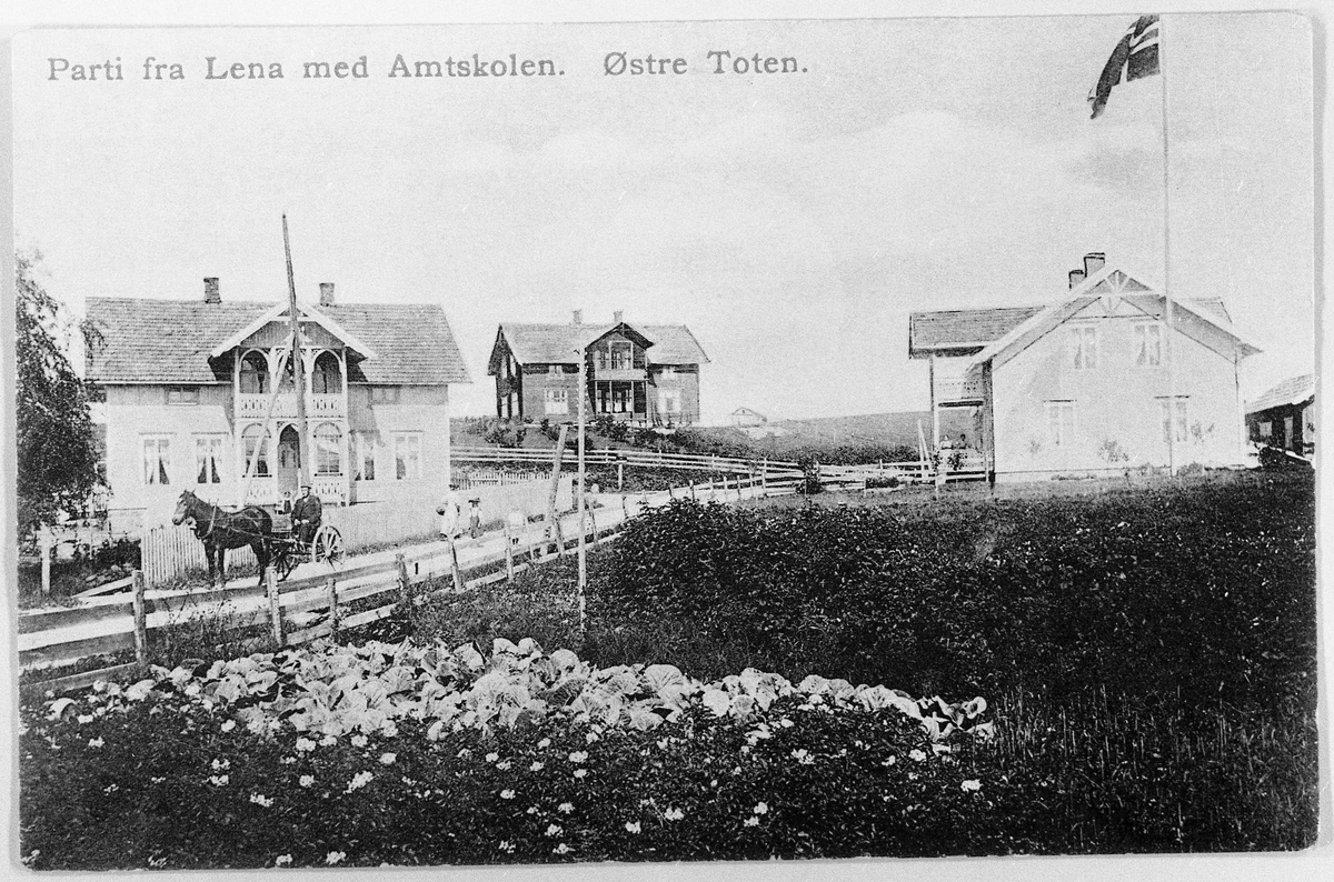 Postkort med motiv fra Lena, Østre Toten, ca. 1910. Amtsskolen i midten bak. Til venstre Kari Sukkestads hus (revet). Til høyre urmaker Pedersens hus, også revet og erstattet av Coop.