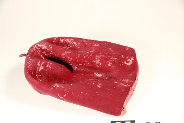 Grekerlue,  av rødt klede