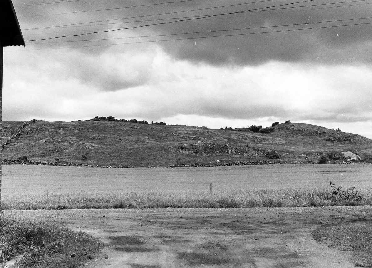 Varberg. Gödestads sn. Båtsberg 1:4. Sjöbjär. Raä 12. Gravfält med fornlämningar nr 12:1, 2, 6, enl. Riksantikvarieämbetets förteckning.
Motivtext foto 1: På krönet av åsen hade markägaren avsett att placera en Västkuststuga. Här är dock en fornlämning belägen (RAÄ 12:1-2). Eventuellt kan en placering av nämnda stuga invid åkerkanten  tillstyrkas. Foto från S.
Motivtext foto 2: Gravfält med fornlämningarna nr 12:1-2 t h och nr 6 t v enl. Riksantikvarieämbetets förteckning på krönet av åsen.
Motivtext foto 3: Fornlämningarna nr 12:1-2 i Riksantikvarieämbetets inventering.