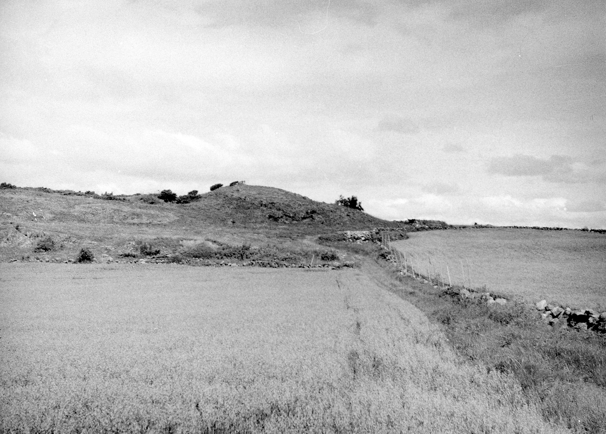 Varberg. Gödestads sn. Båtsberg 1:4. Sjöbjär. Raä 12. Gravfält med fornlämningar nr 12:1, 2, 6, enl. Riksantikvarieämbetets förteckning.
Motivtext foto 1: På krönet av åsen hade markägaren avsett att placera en Västkuststuga. Här är dock en fornlämning belägen (RAÄ 12:1-2). Eventuellt kan en placering av nämnda stuga invid åkerkanten  tillstyrkas. Foto från S.
Motivtext foto 2: Gravfält med fornlämningarna nr 12:1-2 t h och nr 6 t v enl. Riksantikvarieämbetets förteckning på krönet av åsen.
Motivtext foto 3: Fornlämningarna nr 12:1-2 i Riksantikvarieämbetets inventering.