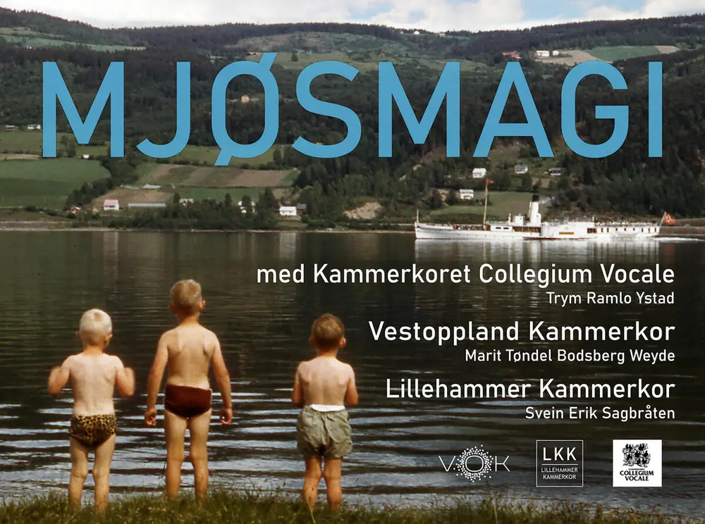 Bilde av tre barn i badebukse som står med ryggen til og ser ut over Mjøsa, Skibladner kommer sigende oppover i høyre billedkant.