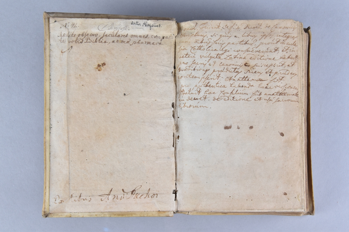 Bok, pergamentband, "BIBLIA, Ad vetustissima exemplaria castigata". Stänkt snitt. 