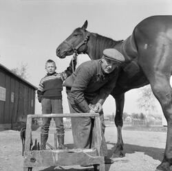 Trening før søndagens travløp på Leangen