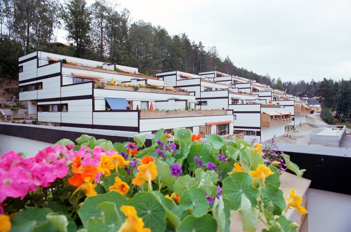 Utsikt over terrasseleiligheter med blomsterkasse i forgrunnen.