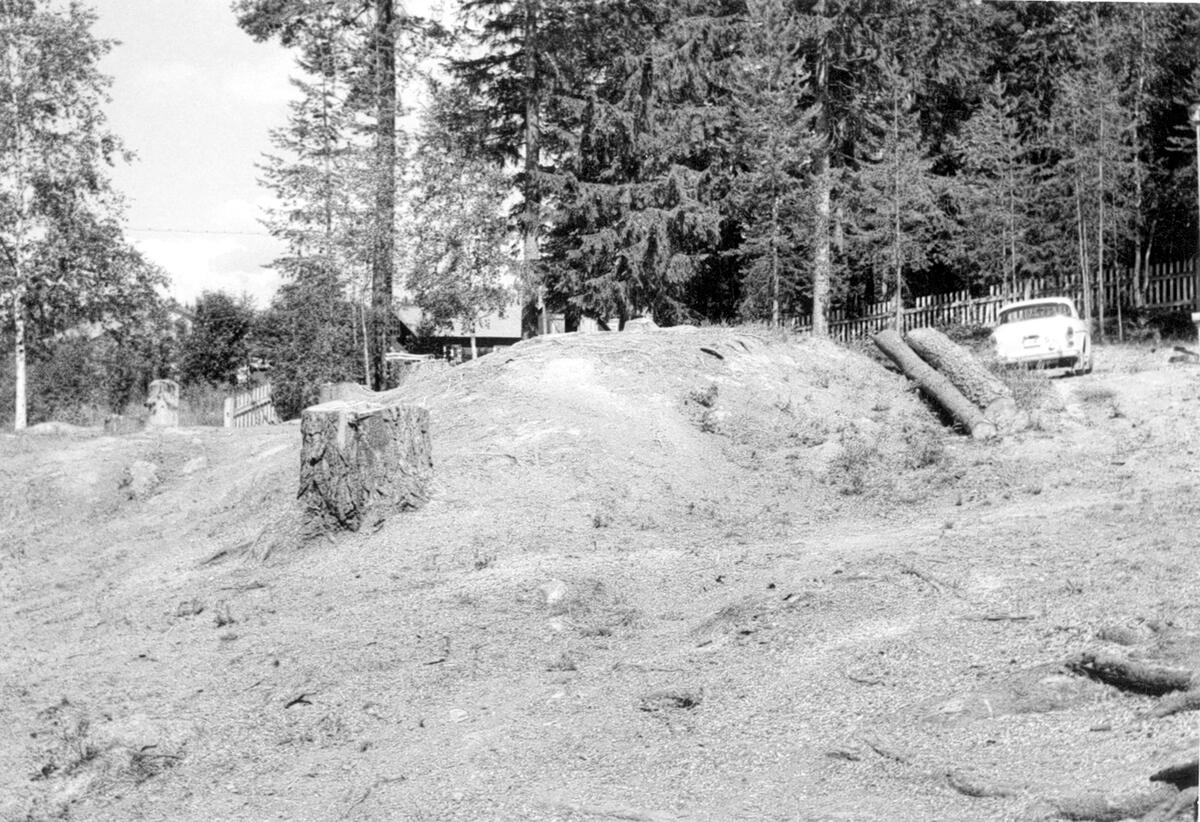 Markvårdsarbeten på gravfältet vid Tuna kyrkskola. Fotograf: Bo Hellman