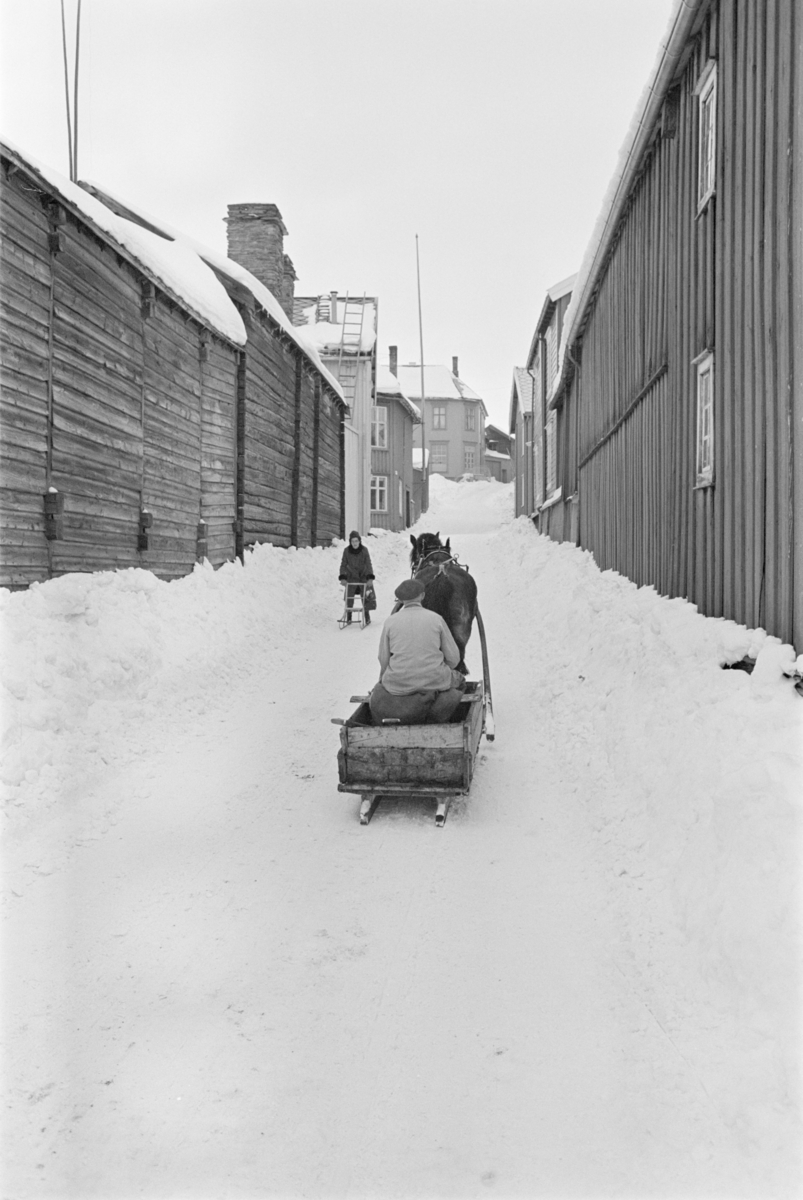 Kjøring med hest og slede i bygatene på Røros.