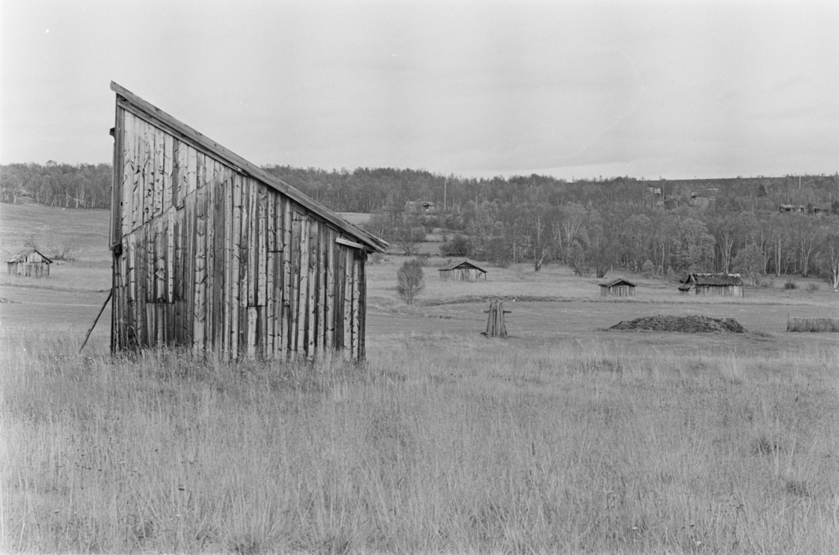 Uthus ved Røros.