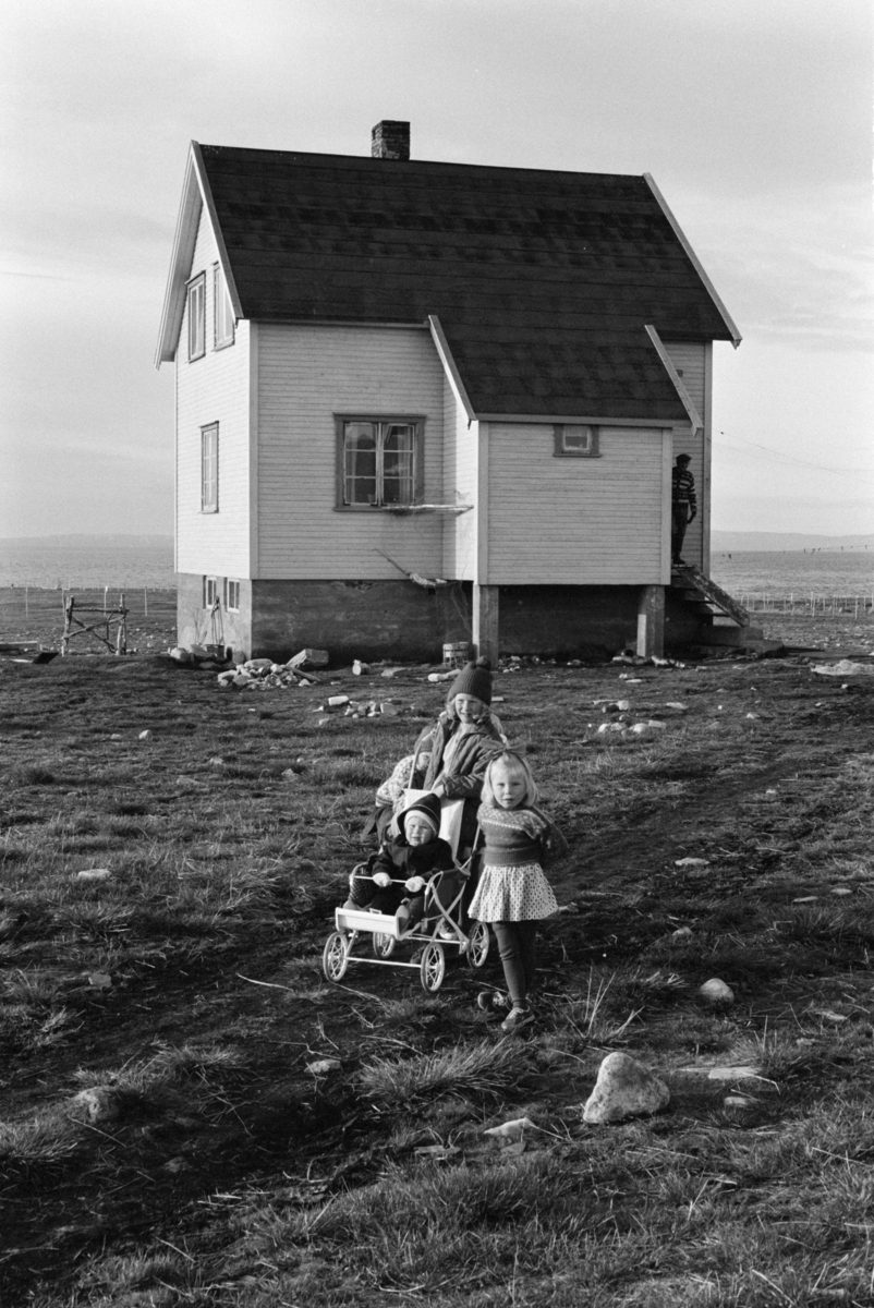 barn foran hus i kystlandskap.