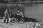 Fångsjön. Båtarna ska transporteras på bilsläp ner till Sporrsjön. Henrik Boman, Reidar Ragnarsson, Johan Wikström och Bernard Isaksson drar upp båten till bilsläpet.