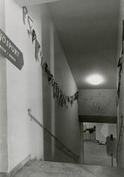 Tillfälliga utställningen, Sjösportsutställningen i källarvå