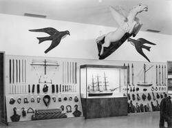 Utställning i Mastrummet i Sjöfartsavdelningen.