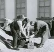 Lufskyddsåtgärder utanför Sjöhistoriska museet. Sandsäcken spikas igen av modellbyggare Wahlström. Till vänster Herr Åberg.