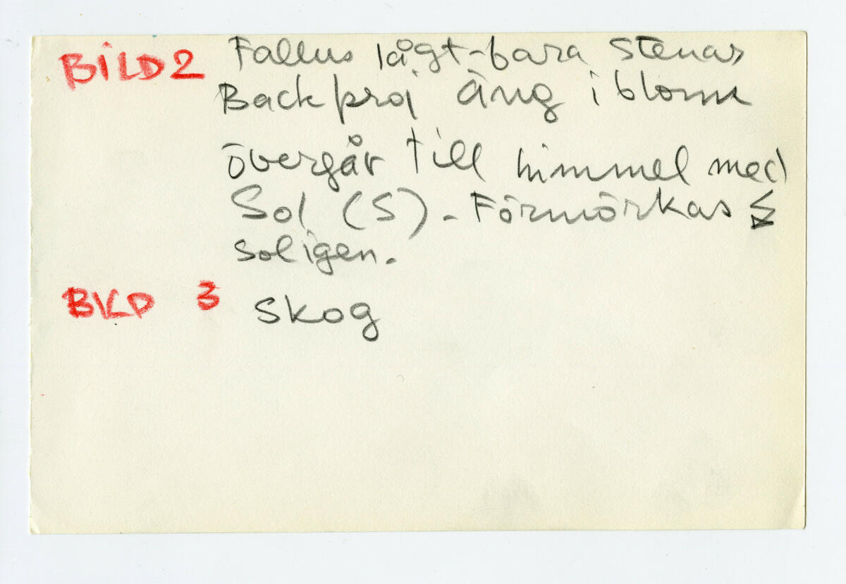 Skisser till "Strömkarlen" och förmodade skisser till "Kransgille" av Jan Brazda.