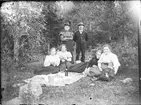 Picknick i skogsdunge, Östhammar, Uppland