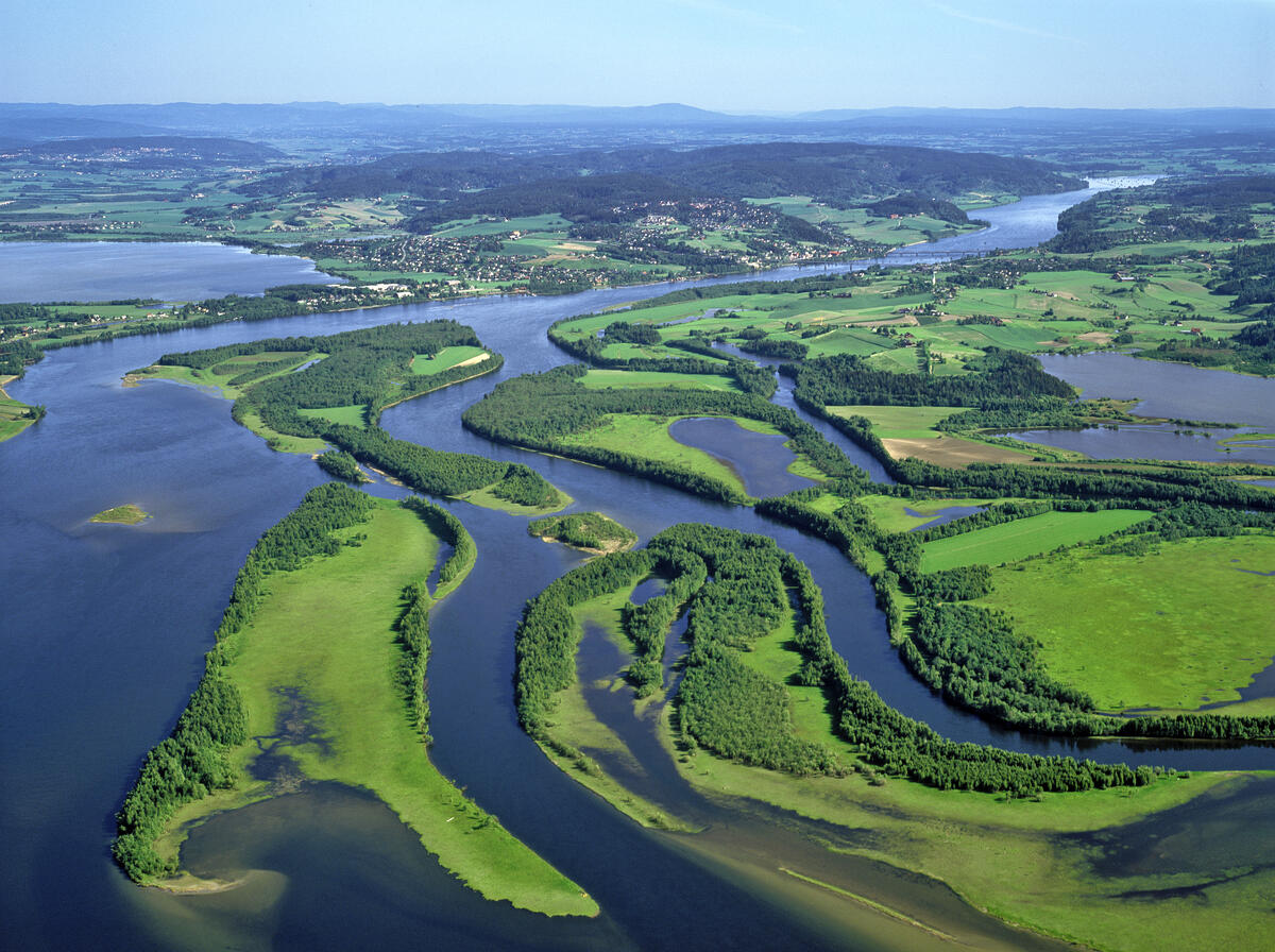 Flyfoto av Nordre Øyeren naturreservat