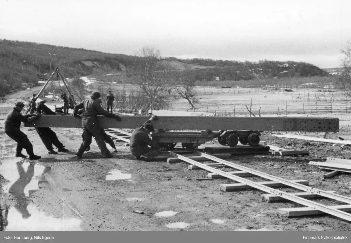 Tana bru ble sprengt november 1944. Sommeren 1948 ble Tana bru bygd på nytt. Flere menn jobber med å kjøre en langbærer fram på tralla.