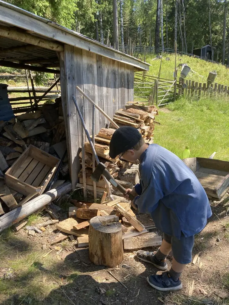 Vedskålen på Skålbergsætra. Sommerdag. En liten gutt i busserull hogger en liten vedkubbe.