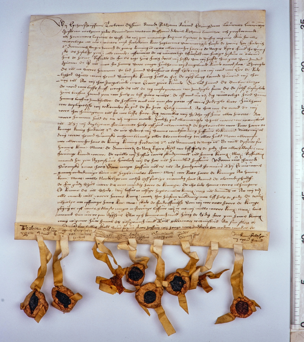 Brev fra domkapitlet i Hamar datert 13. juni 1567. Brevet omhandler at domkapitlet ble fratatt sine segl av svenskene under syvårskrigen. Brevet er signert av Torbenn Olssøn / Torbjørn Olavsson Skaktavl, Baardt Roldzonn / Bård Rolfssøn Rosensverd, Amund Ellingzonn / Amund Ellingssøn, Mortenn Oluffzonn / Morten Olufsen, Lauritts Laurittzon, Christenn Nielzonn og Diderich Kielzonn.  Brevet befinner seg i Rigsarkivet i København, Danmark.