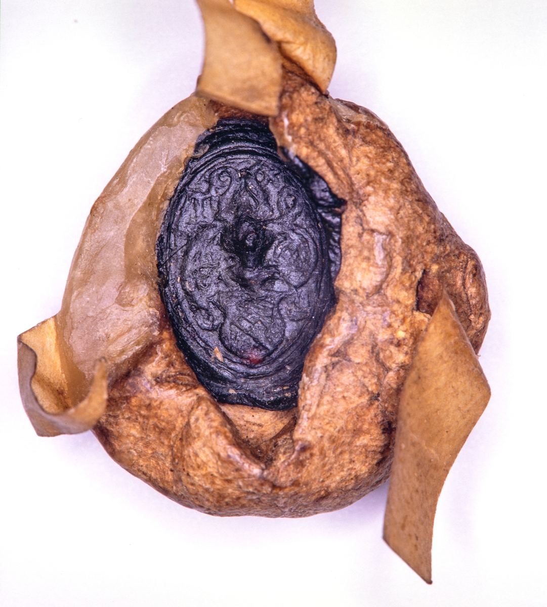 Seglet til "Torbenn Olssøn" / Torbjørn Olavsson Skaktavl, kannik i Hamar og sogneprest på Toten fra ca 1540 til 1577. 
Seglet er på et brev fra domkapitlet i Hamar datert 13. juni 1567. Brevet omhandler at domkapitlet ble fra tatt sine segl under syvårskrigen.  Brevet befinner seg i Rigsarkivet i København, Danmark.