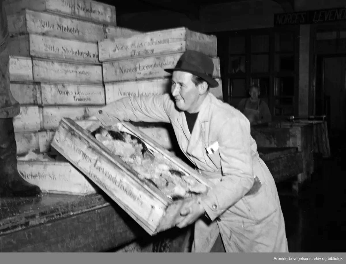 AL Oslo Fiskehall, også kjent som Fiskehallen på Vippetangen. November 1951
