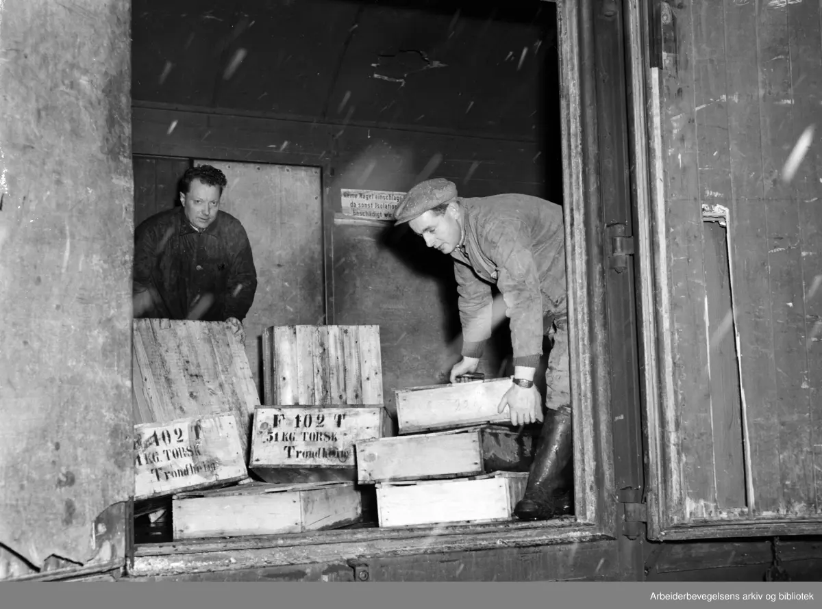 AL Oslo Fiskehall, også kjent som Fiskehallen på Vippetangen. Peter Naustvik i Levendefisklaget til venstre. November 1951