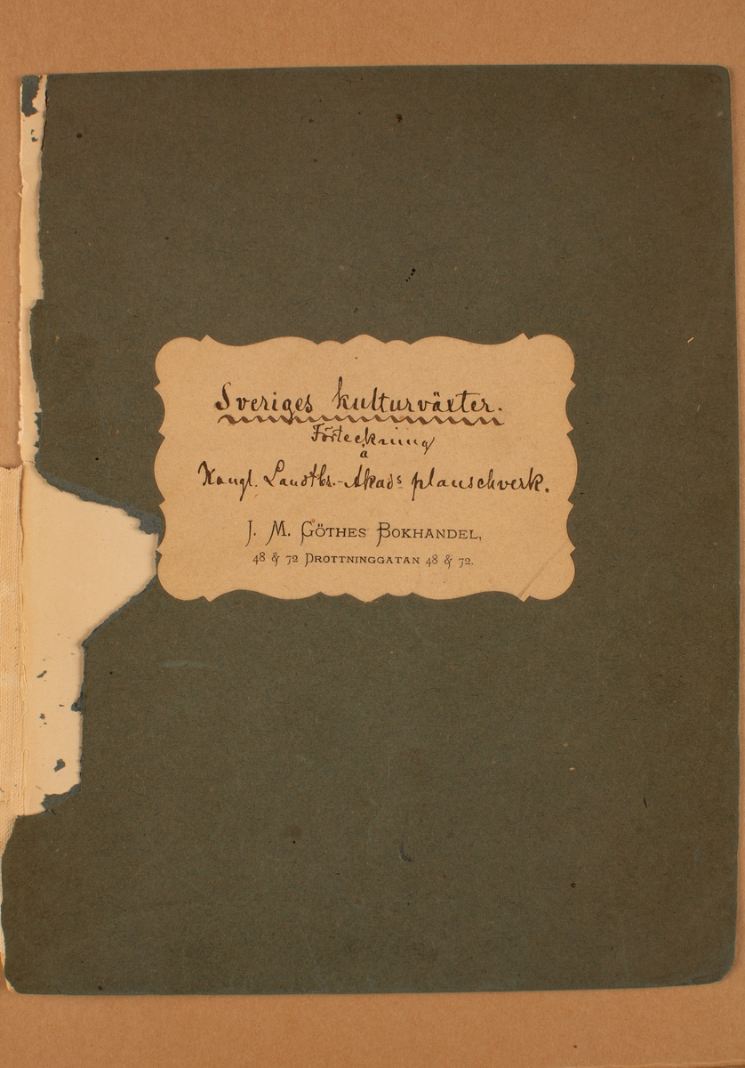 Anteckningsbok med handskrift "Sveriges kulturväxter. Förteckning å Kungl. Landtbs. -Akads planschverk. J. M. GÖTHES BOKHANDEL, 48&72 DROTTNINGGATAN 48&72". Anknytning till illustrationer utförda av Henriette Sjöberg. Se NMA.0097977 till och med NMA.0098708. Skrivhäftet är med stor sannolikhet skrivet av Jakob Eriksson då handstilen har många likheter med handstilen i brev han skrivit.