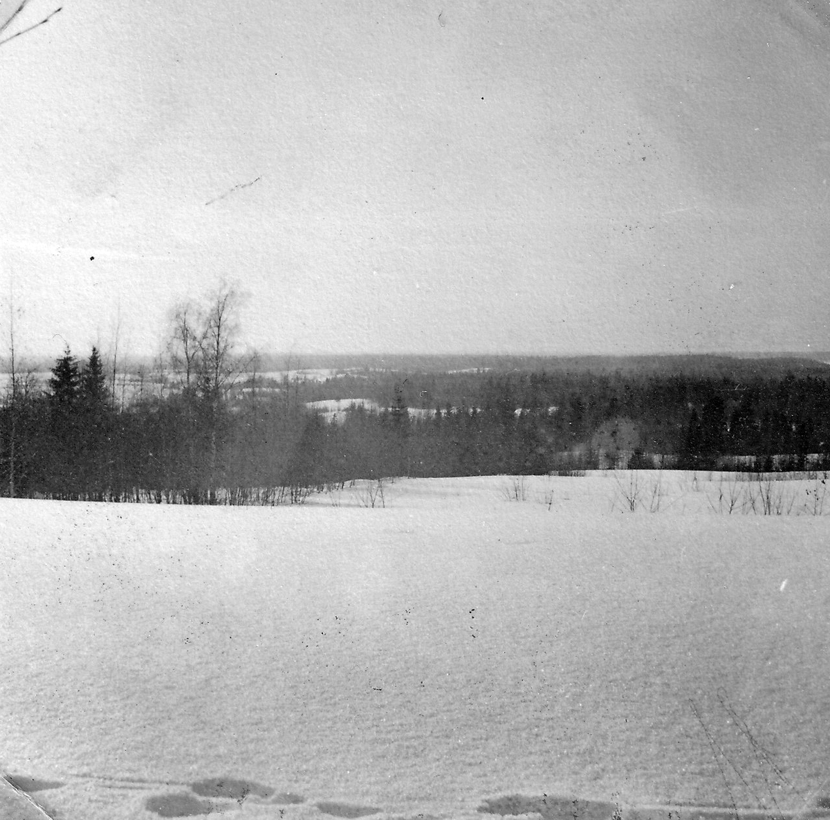 JR 61 vid Svirfronten 1942 - 1943.   Mänty.