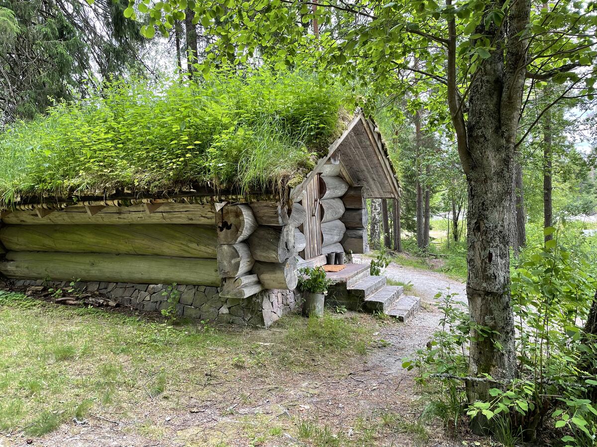 Koie på Prestøya i frodig sommerlandskap