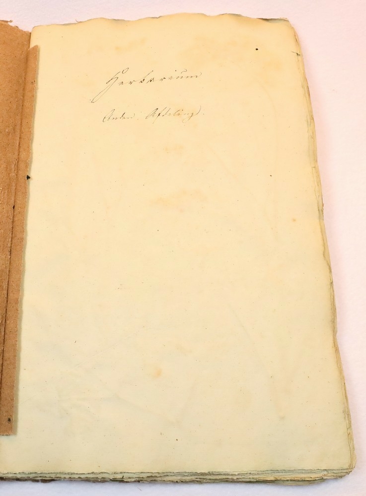 Plante nr. 124 frå Ivar Aasen sitt herbarium.  

Planten er av same art som nr. 123 i herbariet.