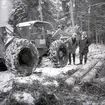 Skogsavverkning i Böda. Skogsmaskinen 