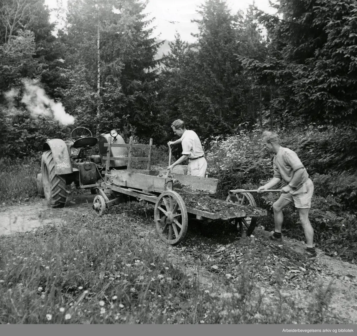 Dugnad på Utøya. Fra venstre: senere forsvarsminister og miljøvernminister Rolf Hansen og Birger Hess fra AUF. 1954