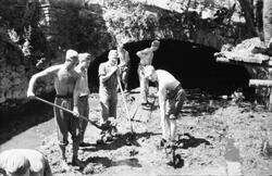 ARKIVET freds- og menneskerettighetssenter