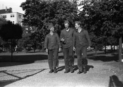 ARKIVET freds- og menneskerettighetssenter