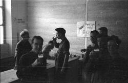 ARKIVET freds- og menneskerettighetssenter