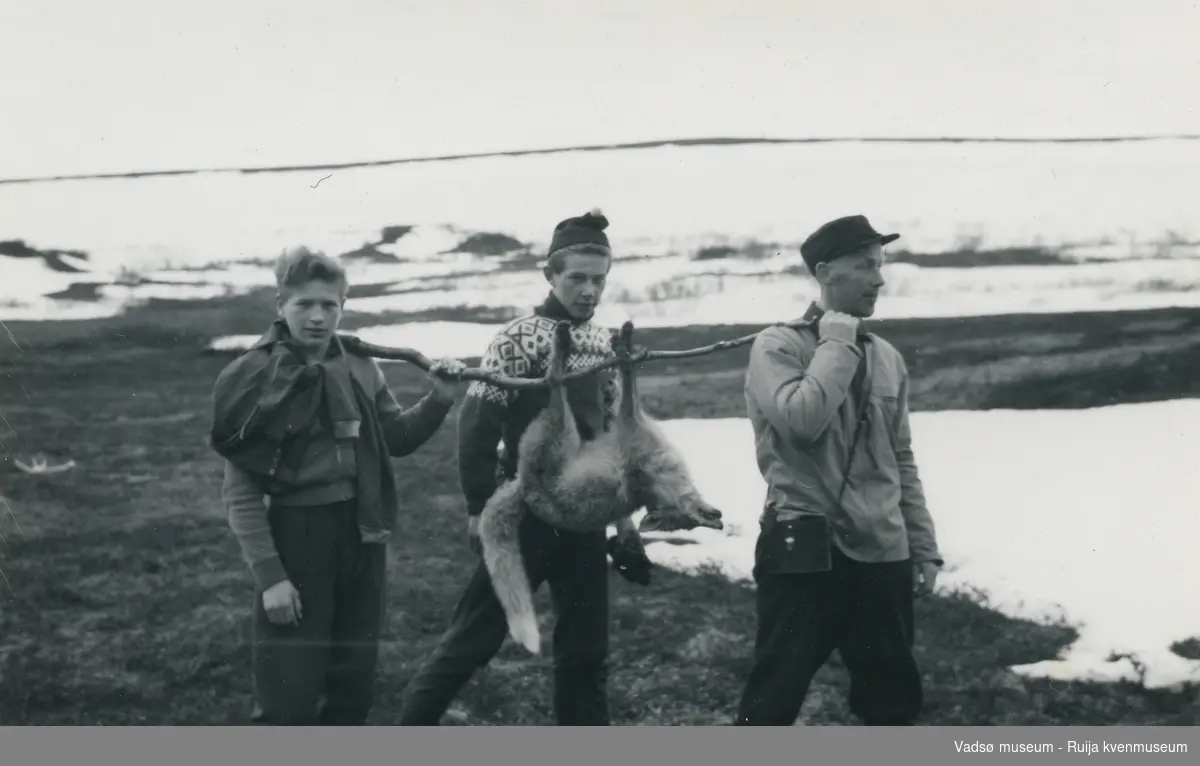 Reidar Methi ( lengst til høyre) og Vadsøgutter på revejakt. De er på Vinikka, området nord for Vadsø på 1950-tallet. 