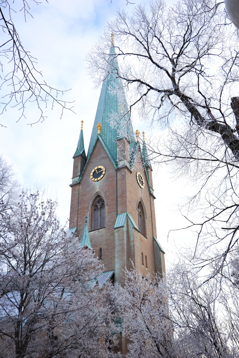 Linköpings domkyrka en kall vinterdag 2021. Domkyrkotorn. Bilder från staden Linköping år 2021.
Info om tornet: 
Domkyrkans 107 meter höga torn stod färdigt år 1886 av arkitekten Helgo Zettervall. Domkyrkans östtorn uppfördes 1965-1967, då även taket belades med kopparplåt. Östtornen byggdes med de gamla tornen som revs 1755 som förebild.På dessa torn finns vildflöjtar som väger omkring 600 kg/styck. 

Domkyrkan är den centrala kyrkan i Linköpings stift och säte för stiftets biskop. Den är Sveriges näst största kyrkobyggnad, efter Uppsala domkyrka.