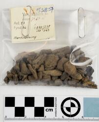 Åsen, Kolbäck Åsen. (Kolbäck 192:1) - arkeologisk undersökning 1962-63