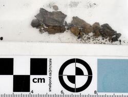 Åsen, Kolbäck Åsen. (Kolbäck 192:1) - arkeologisk undersökning 1962-63