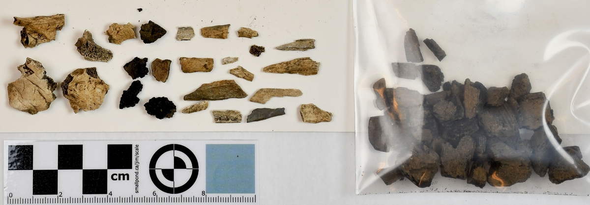 Arkeologiska fynd från Åsen, Kolbäck. 
Undersökt 1968-1970. 