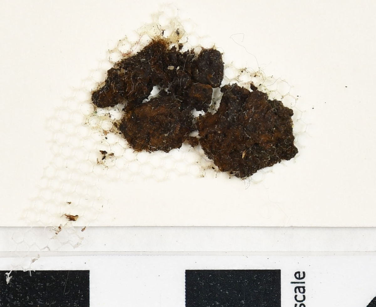 Arkeologiska fynd från Åsen, Kolbäck. 
Undersökt 1968-1970. 