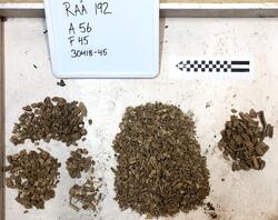 Åsen, Kolbäck Åsen. (Kolbäck 192:1) - arkeologisk undersökning 1962-63