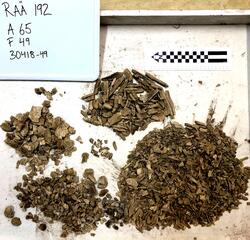 Åsen, Kolbäck Åsen. (Kolbäck 192:1) - arkeologisk undersökning 1962-63