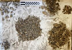 Åsen, Kolbäck Åsen. (Kolbäck 192:1) - arkeologisk undersökning 1962-63