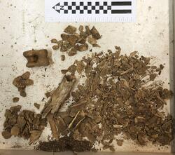 Åsen, Kolbäck Åsen. (Kolbäck 192:1) - arkeologisk undersökning 1962-63