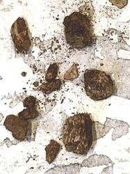 Åsen, Kolbäck Åsen. (Kolbäck 192:1) - arkeologisk undersökning 1962-63