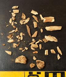 Åsen, Kolbäck Åsen. (Kolbäck 192:1) - arkeologisk undersökning 1962-63