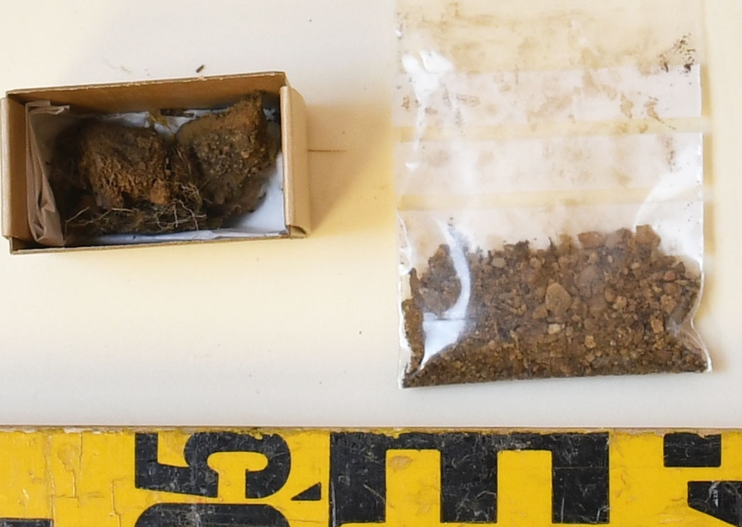 Osteologiskt material från undersökningen vid Åsen, Kolbäck 1968-1970